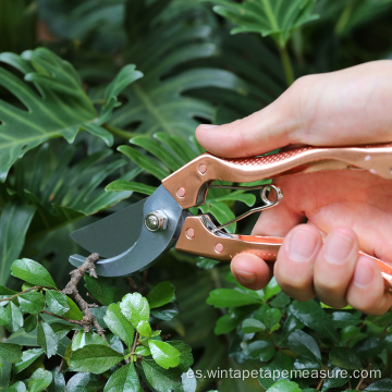 Tijeras de podar tijeras para cortar flores